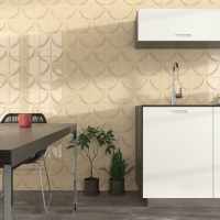 BERLIN EXA GRAPHITE MATT 21,5X25