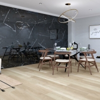 BLACK CALACATTA 60X120