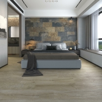 ARDESIA MULTICOLORE 30X60