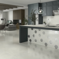 MAGNET EXA FROZEN 15X17