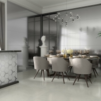 MAGNET SILVER 60X120