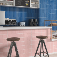 QUERCUS BETULLA 22X120