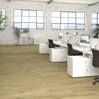 FORESTA CANELA 17.8X153.2