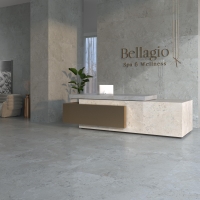 PIETRA VIVA GREY 60X120