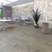 ARDESIA CHIARA 30X60