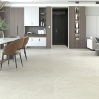 PIETRA VIVA BONE 120X120