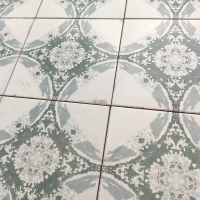 SAINT-MICHEL BLEU 20X20