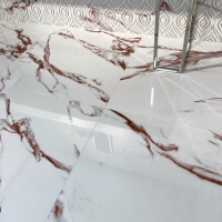 NUSA 60X120
