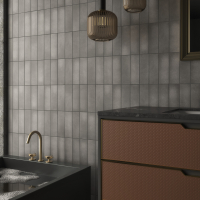 RENANIA GRAFITO 6,5X20